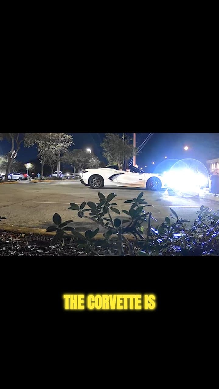 The Smartest, Dumbest Plan