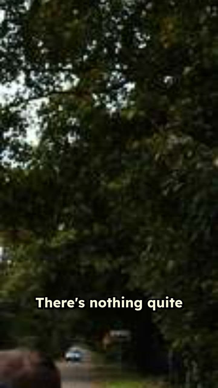 My Nissan Leaf Experience