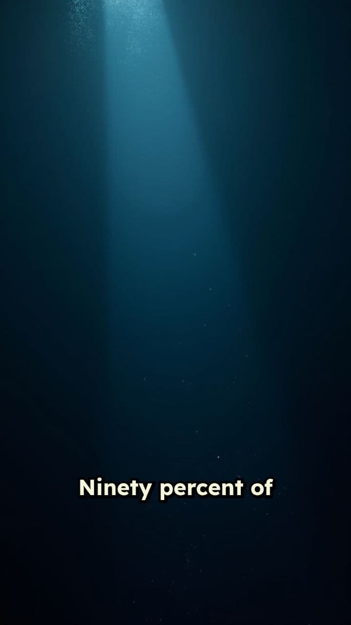 The Ocean: Earth's Final Frontier