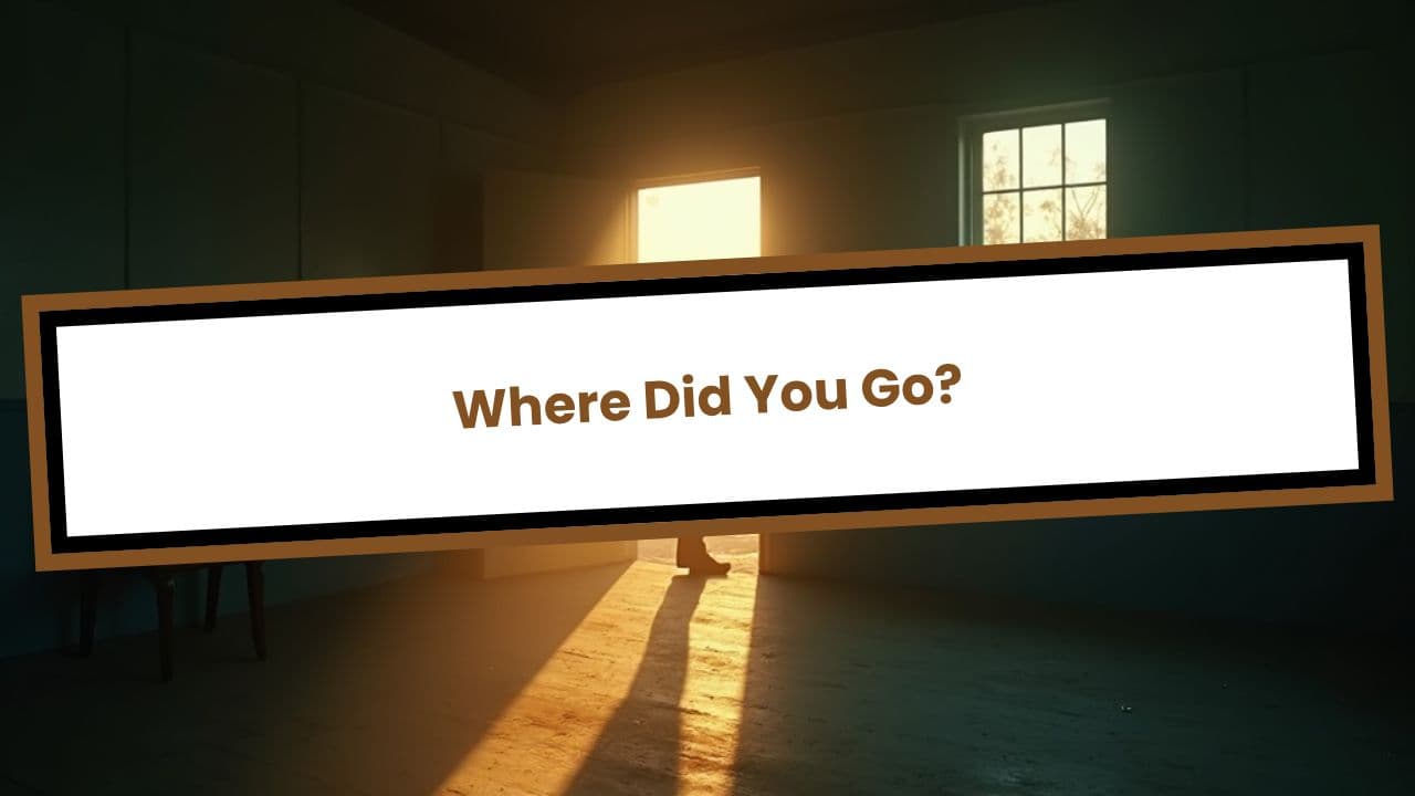 Where Did You Go?