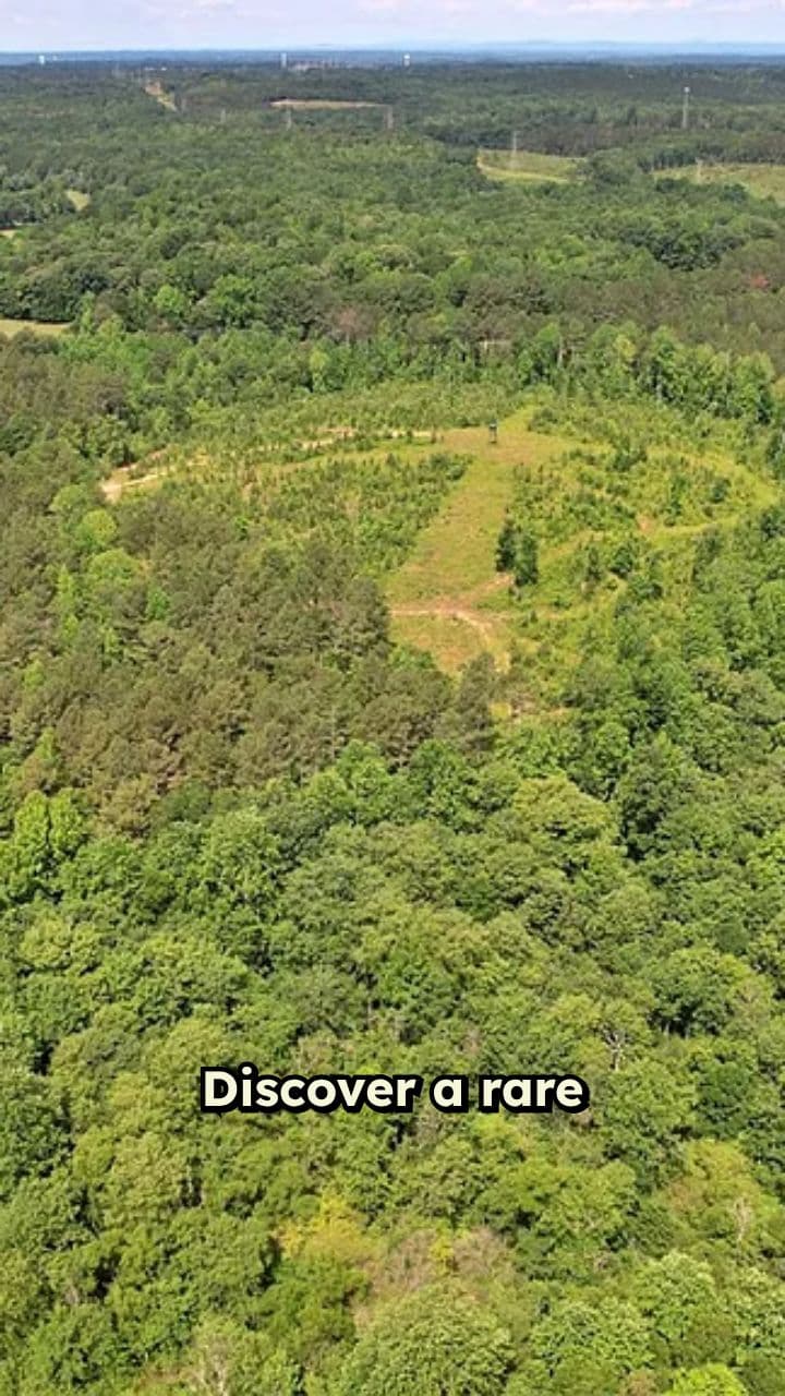 Pickens SC Land Opportunity