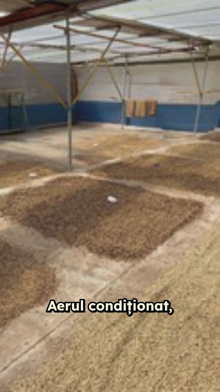 Îngrijirea ochilor uscați