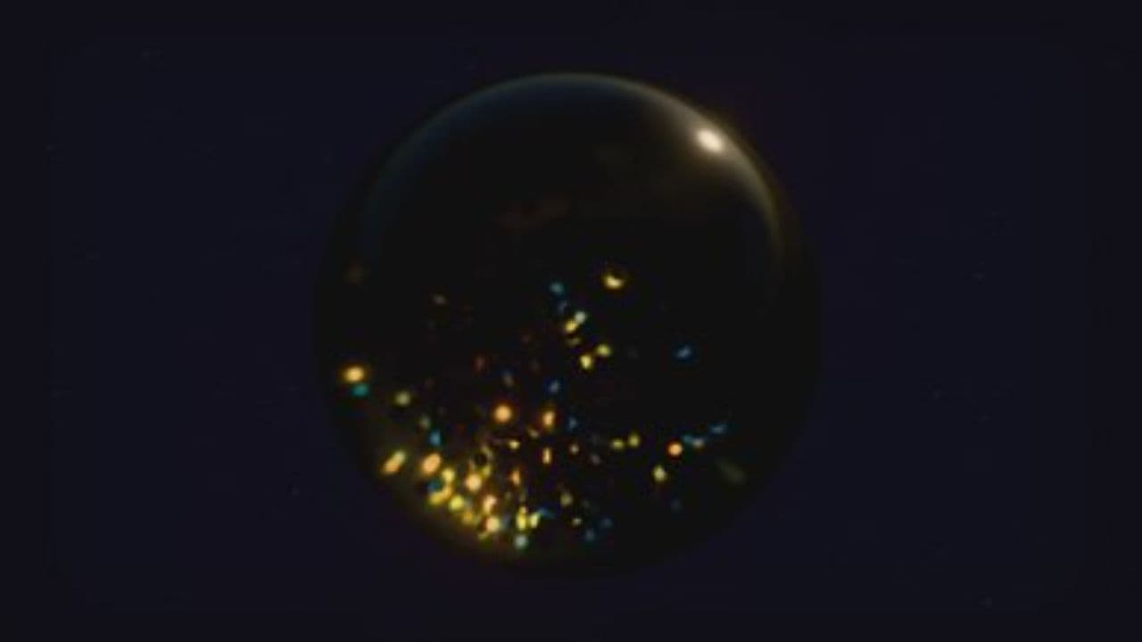 Everything That Shines Ain't Gold