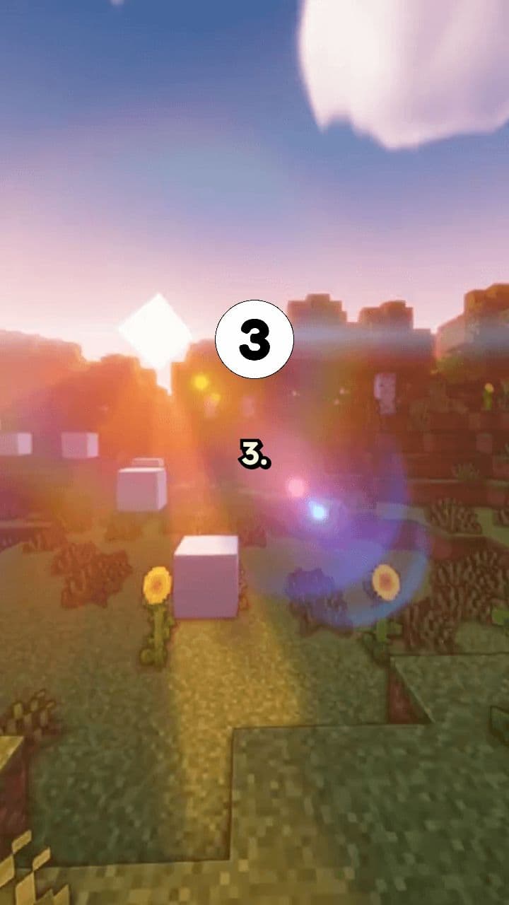 Understanding Subjects and Predicates