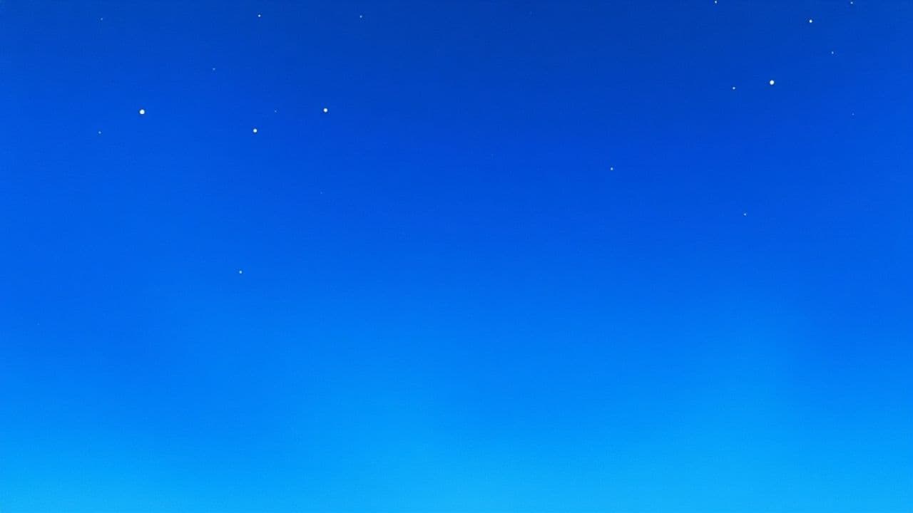 Velvet Night Whispers