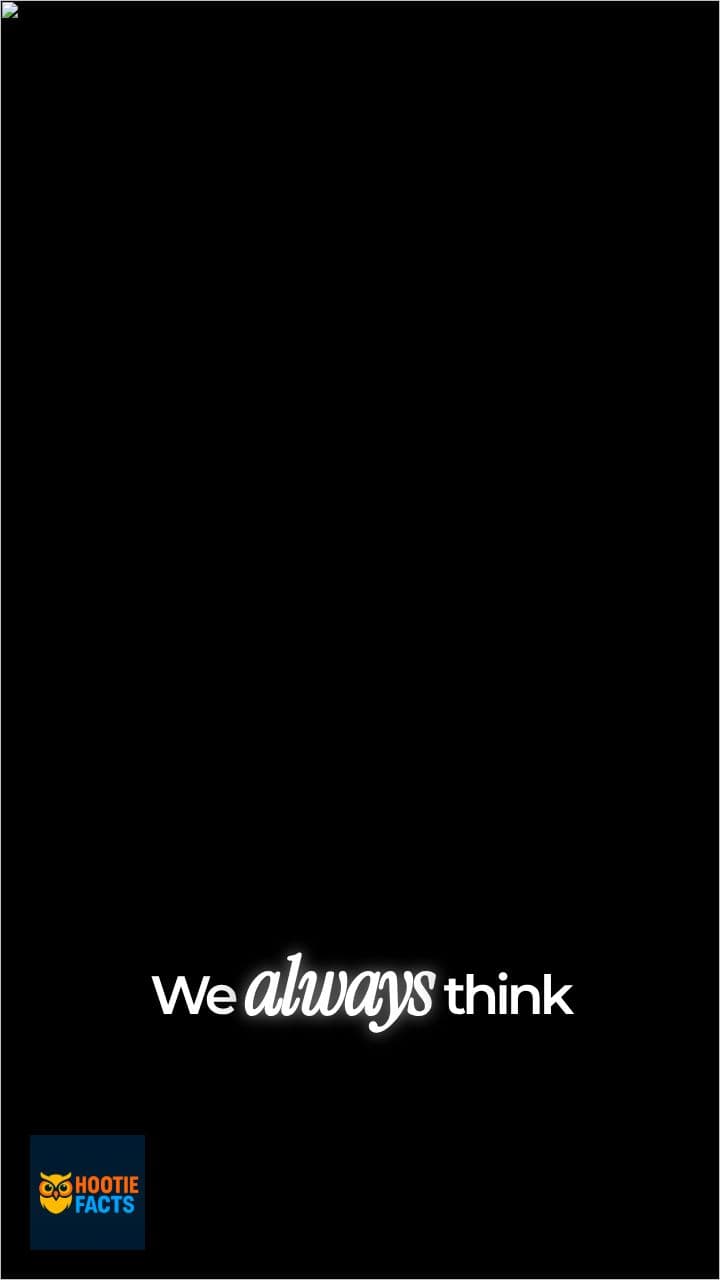 Action Sparks Motivation