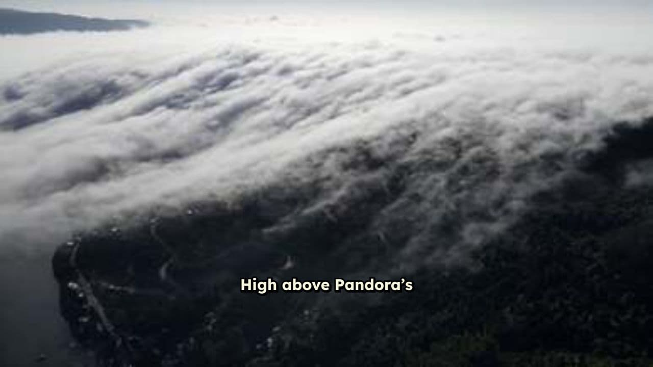 Bonding with the Ikran