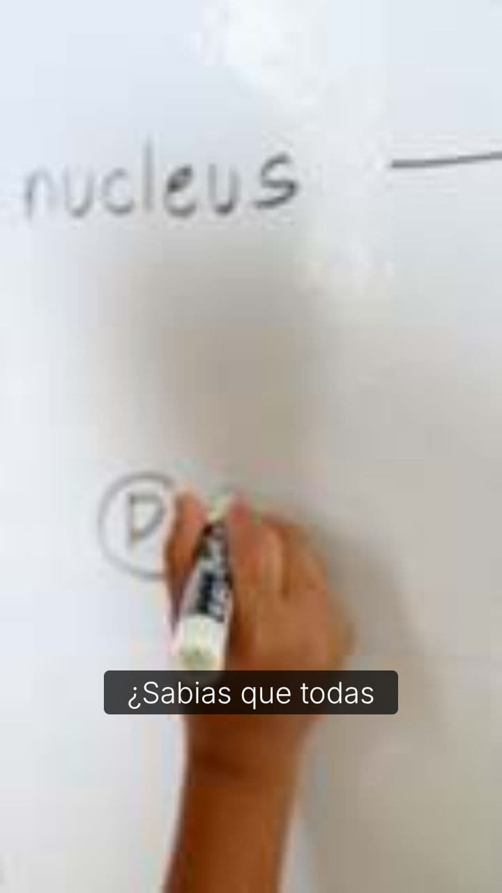 La conspiración del viejo de Hum