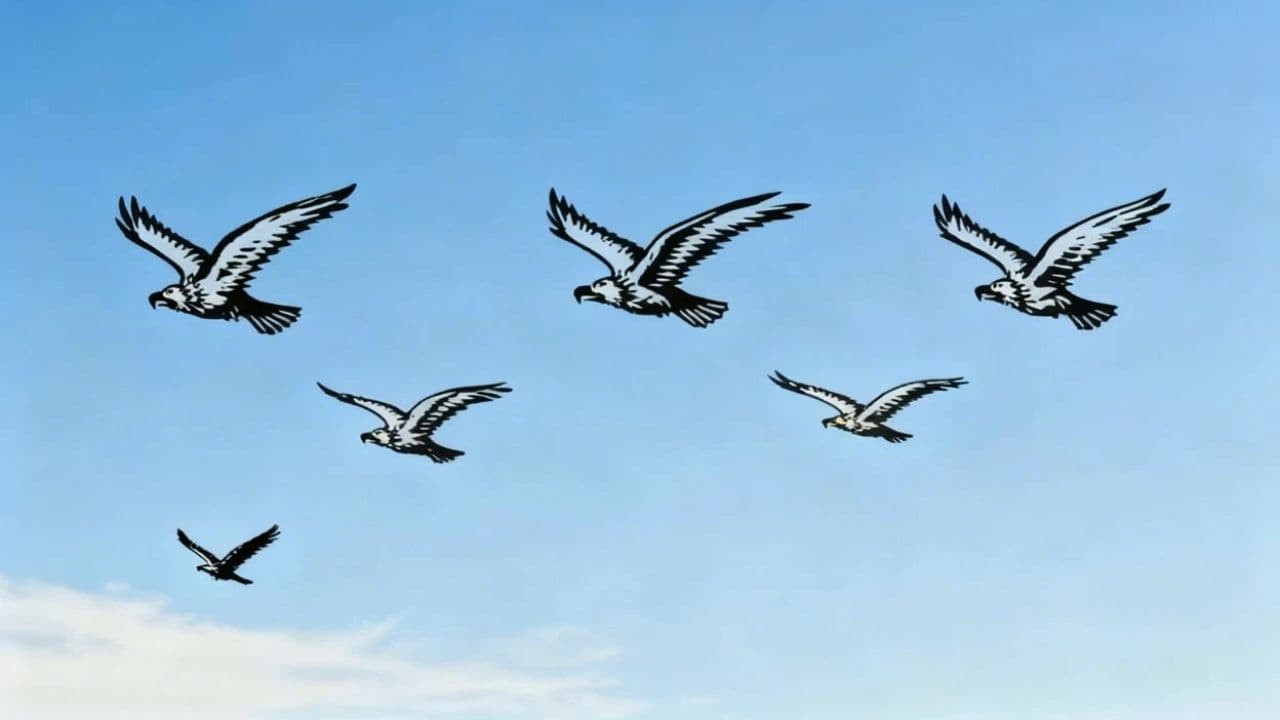 Image transform video