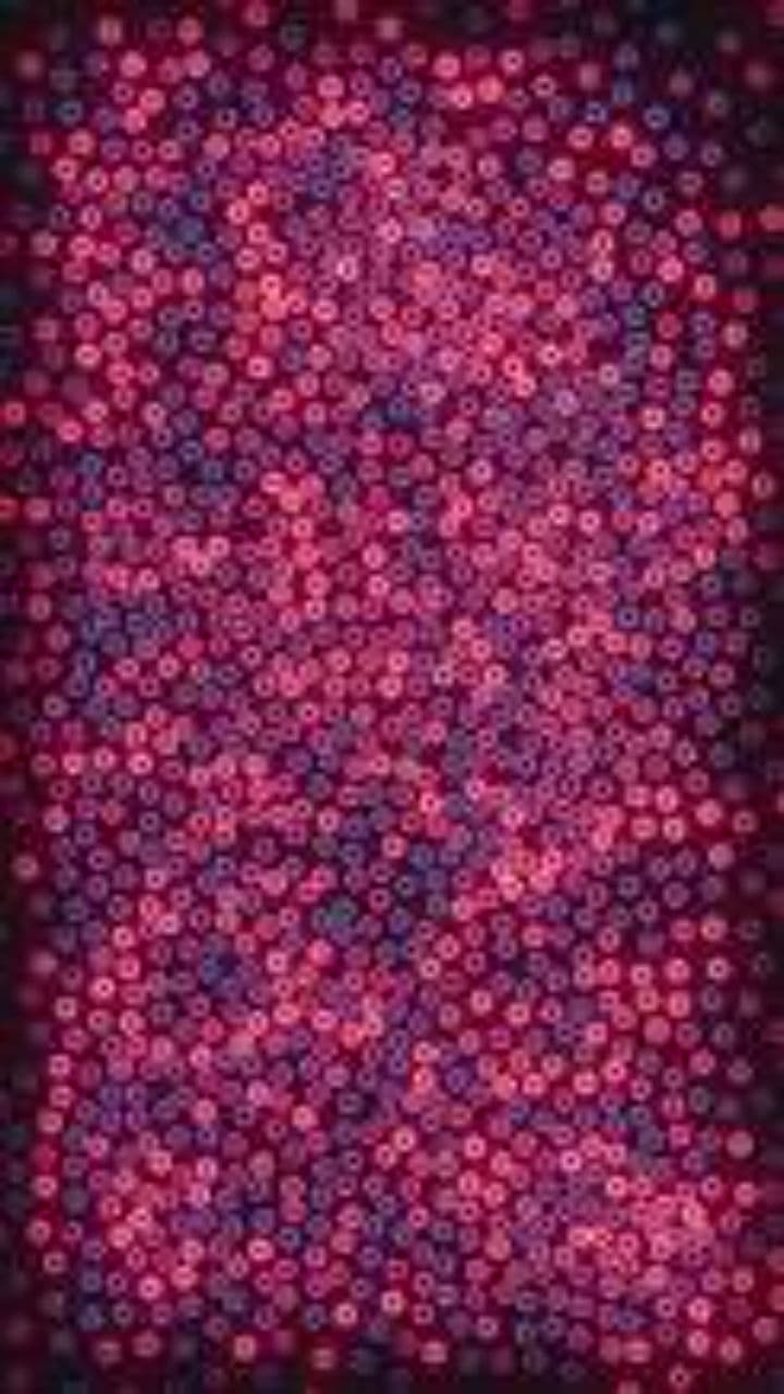 Зайко и Вълчо в танго