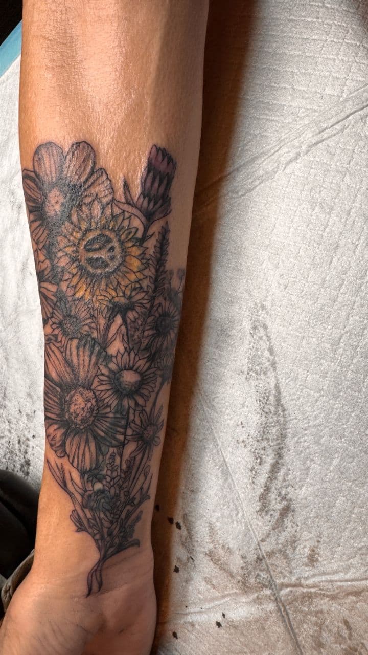 Love Song of Apology