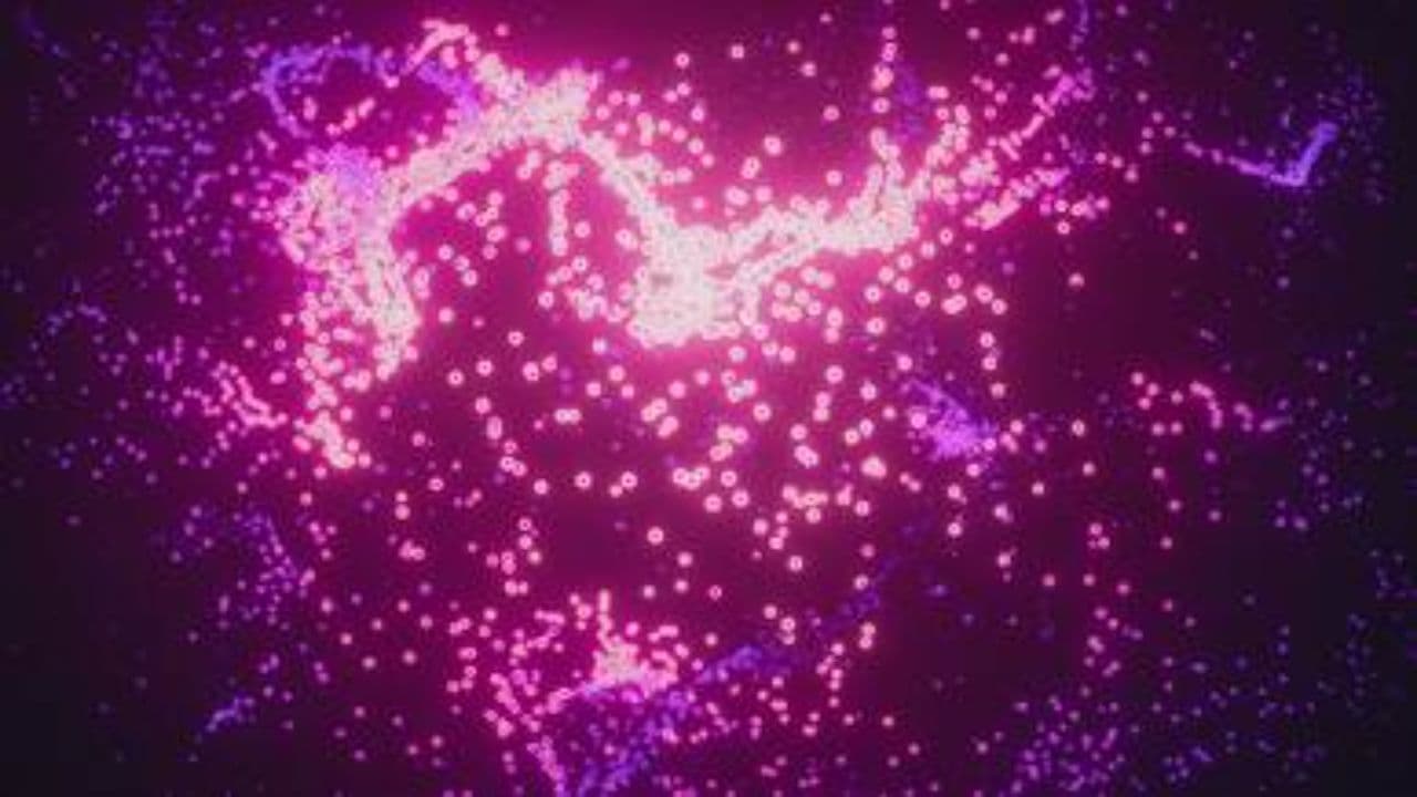 Q7 TDI Engine-Out Blues