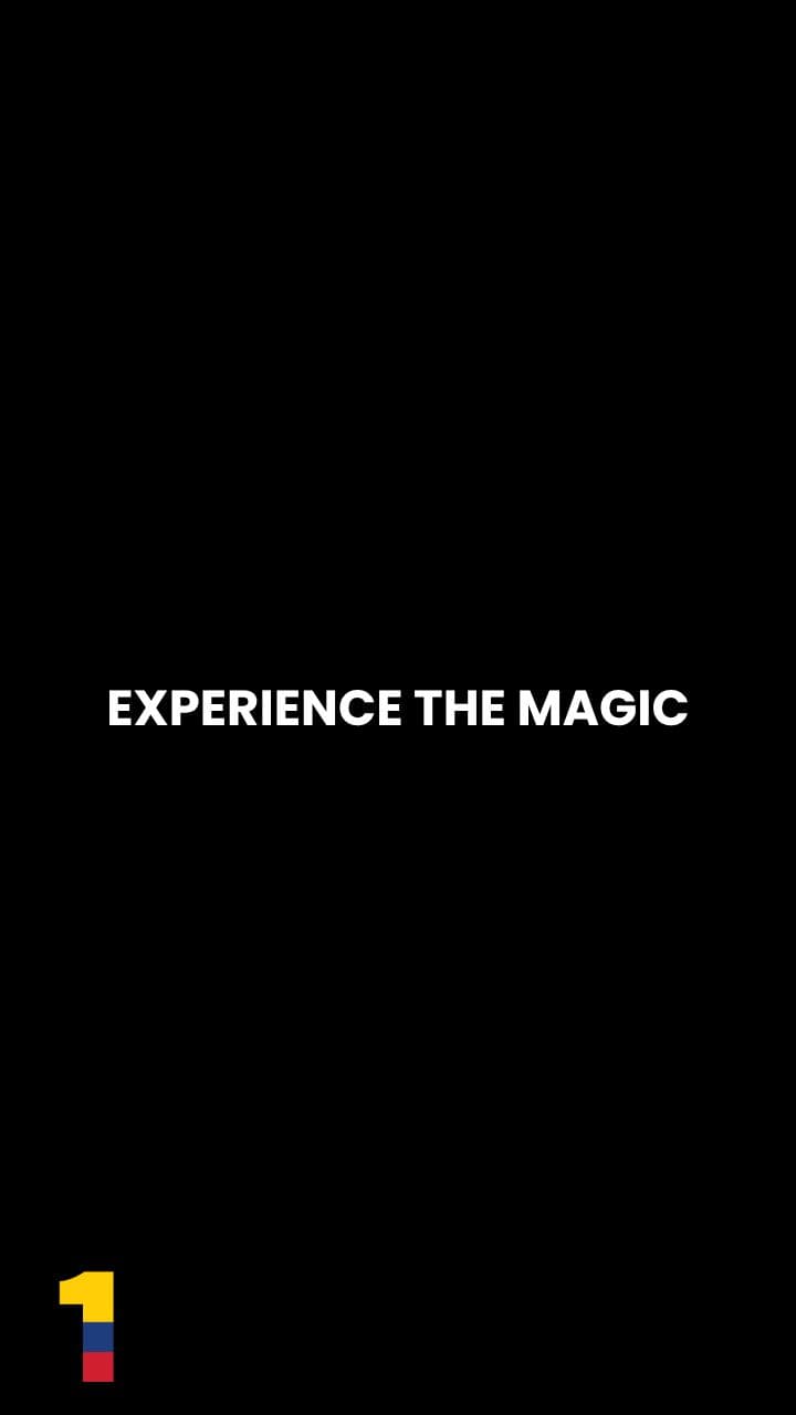 La Pradera’s Dazzling Christmas Lights