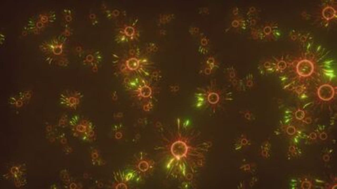 Gratitude's Impact on Health and Longevity