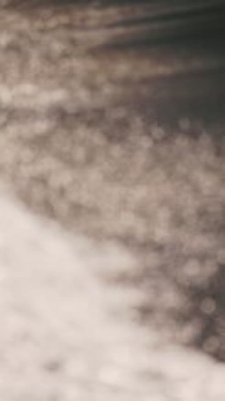 Лети, моя мріє