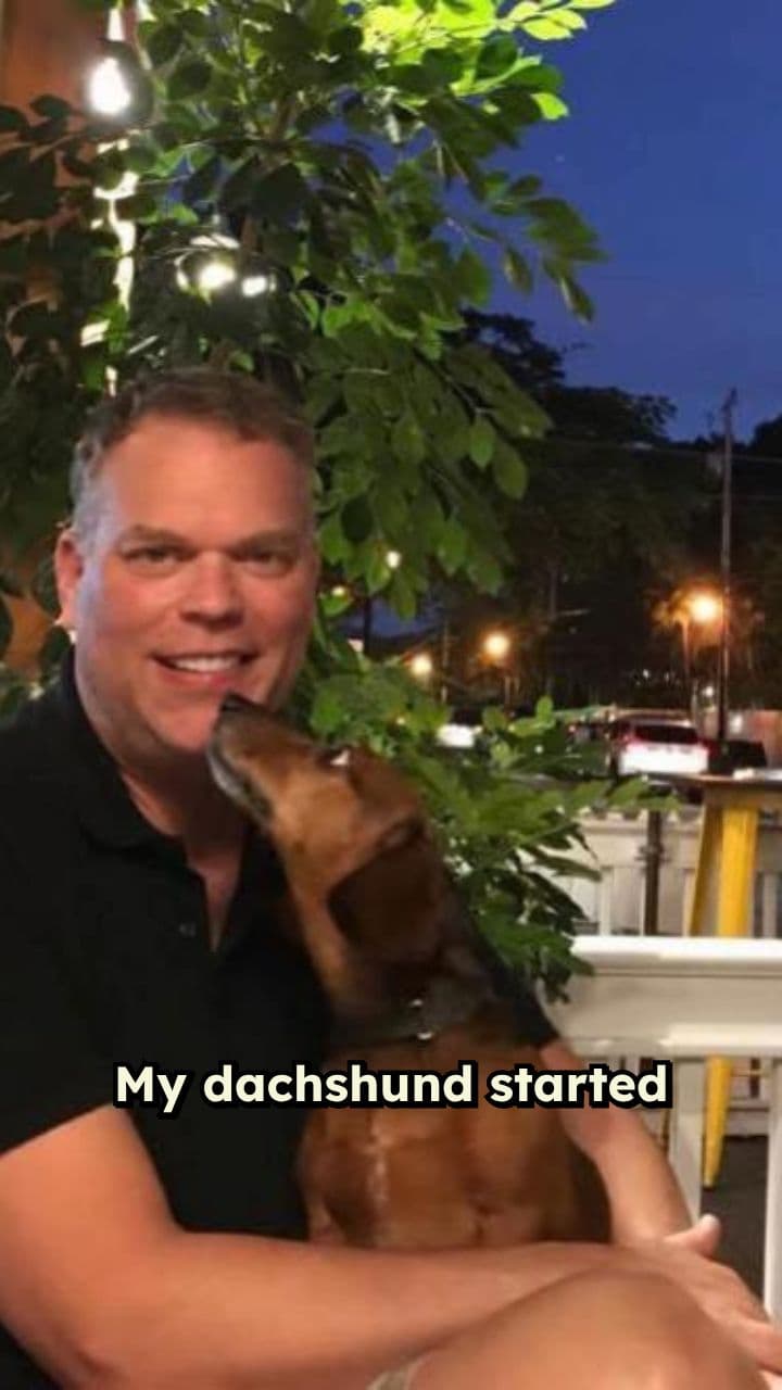 A Dachshund’s Lighthouse Memory