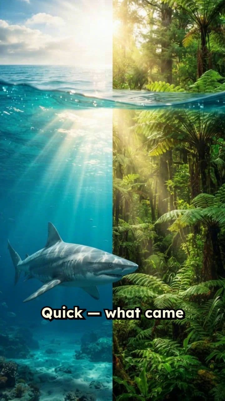 Sharks vs Trees: Which Came First?
