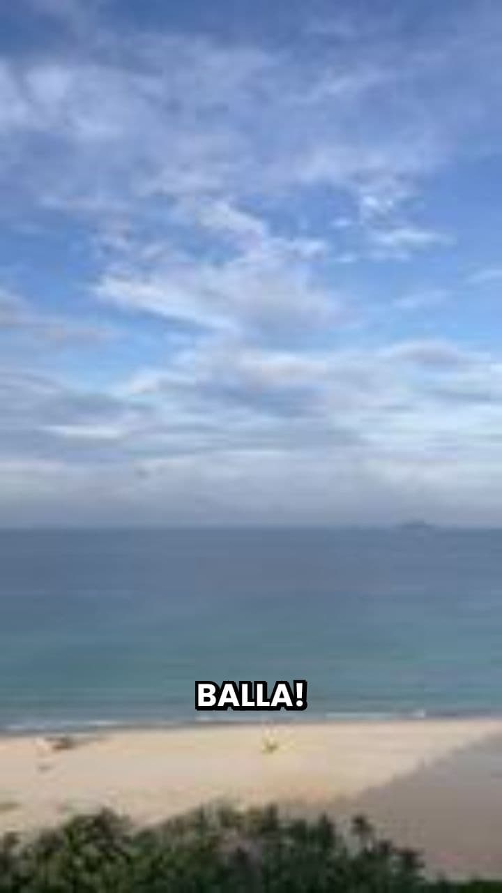 Squacado Dansante: Il Mistero della Spiaggia