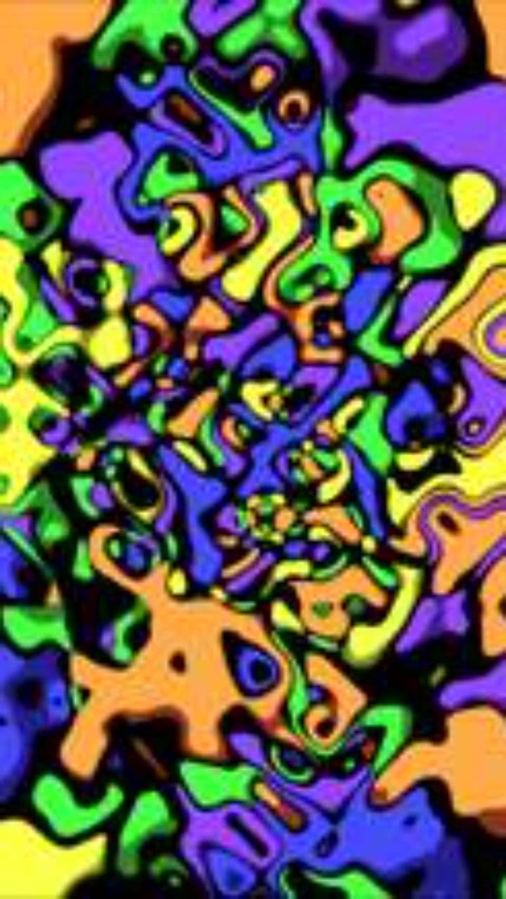 Ocean Land Adventure