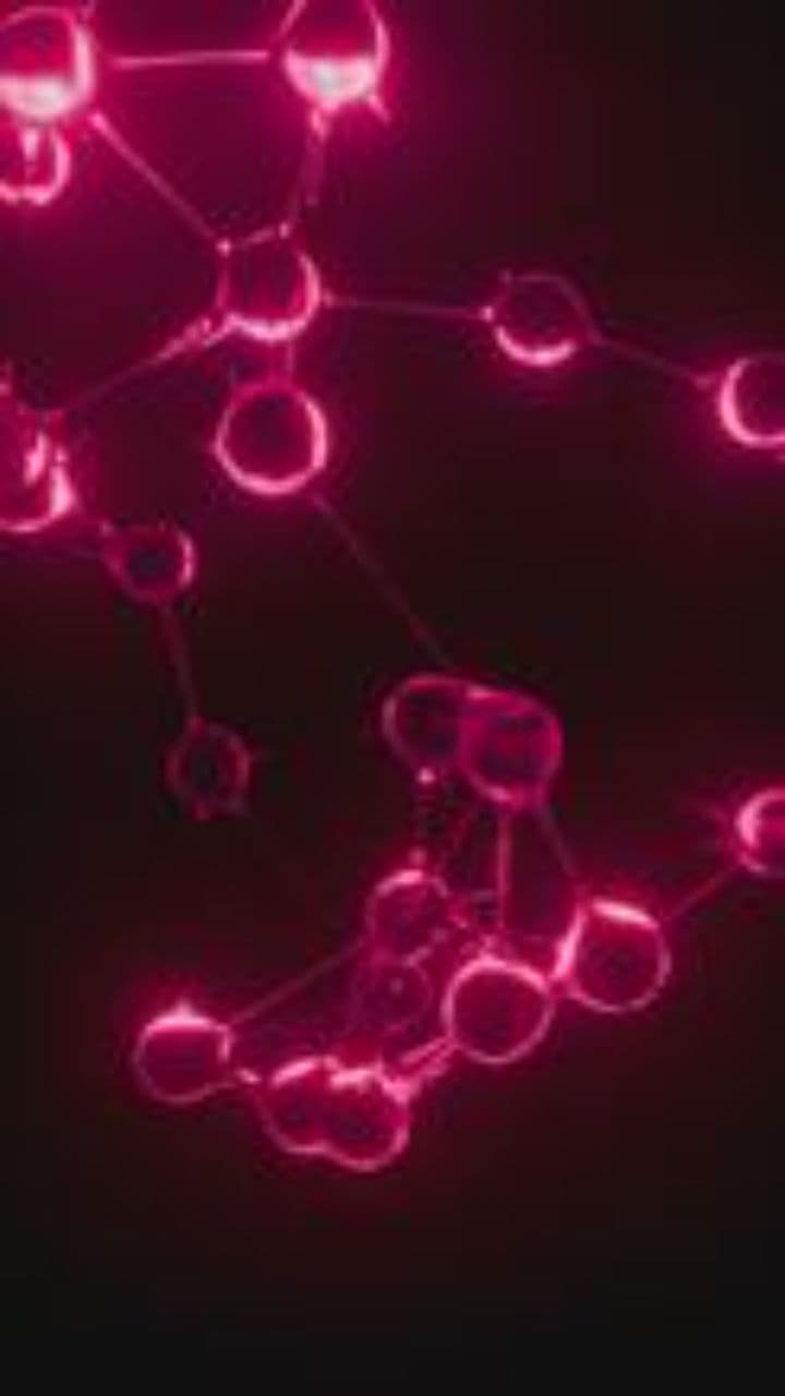 Седьмой стол любви и единства