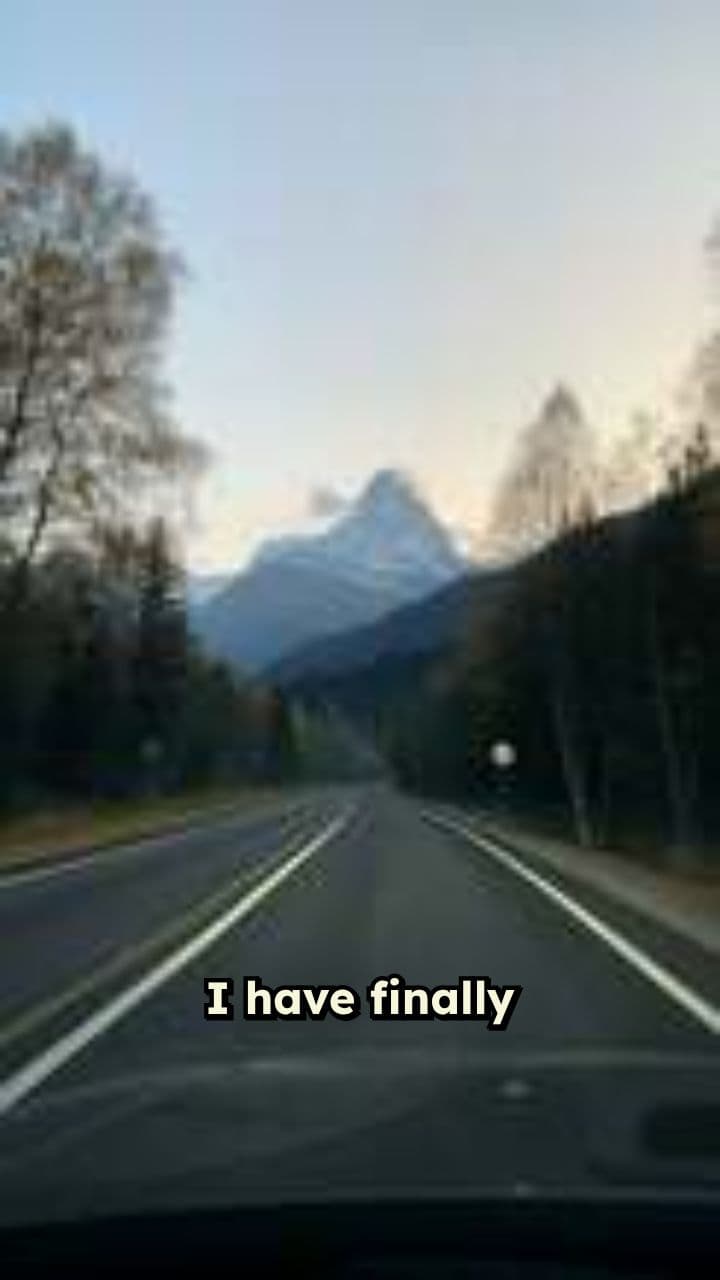 The Dapper Cat's Toy Car Mishap