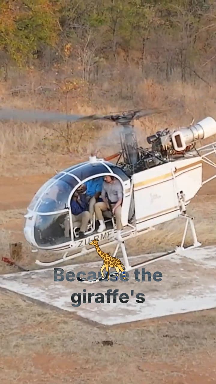 Vaccinating Giraffes From the Sky