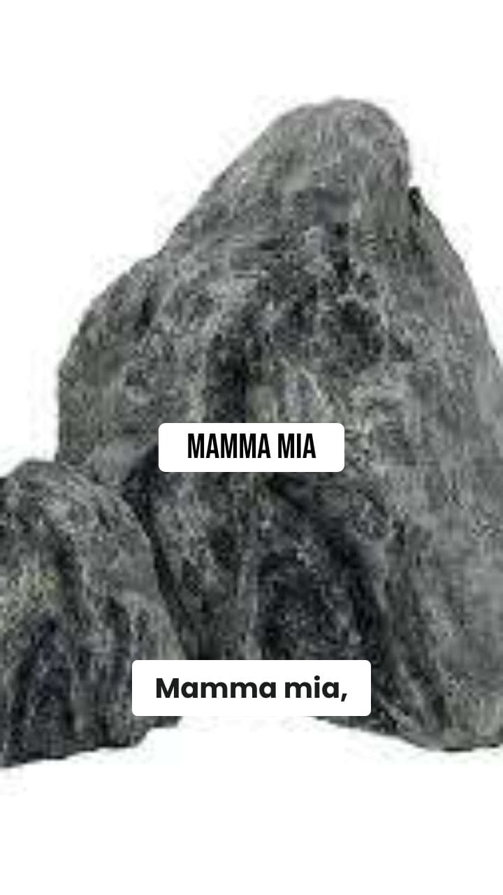 Signore Pietra: The Brainrot Hospital