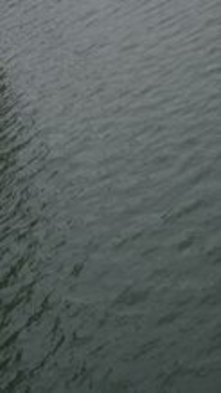 Bądź sobą i zachowaj pokój