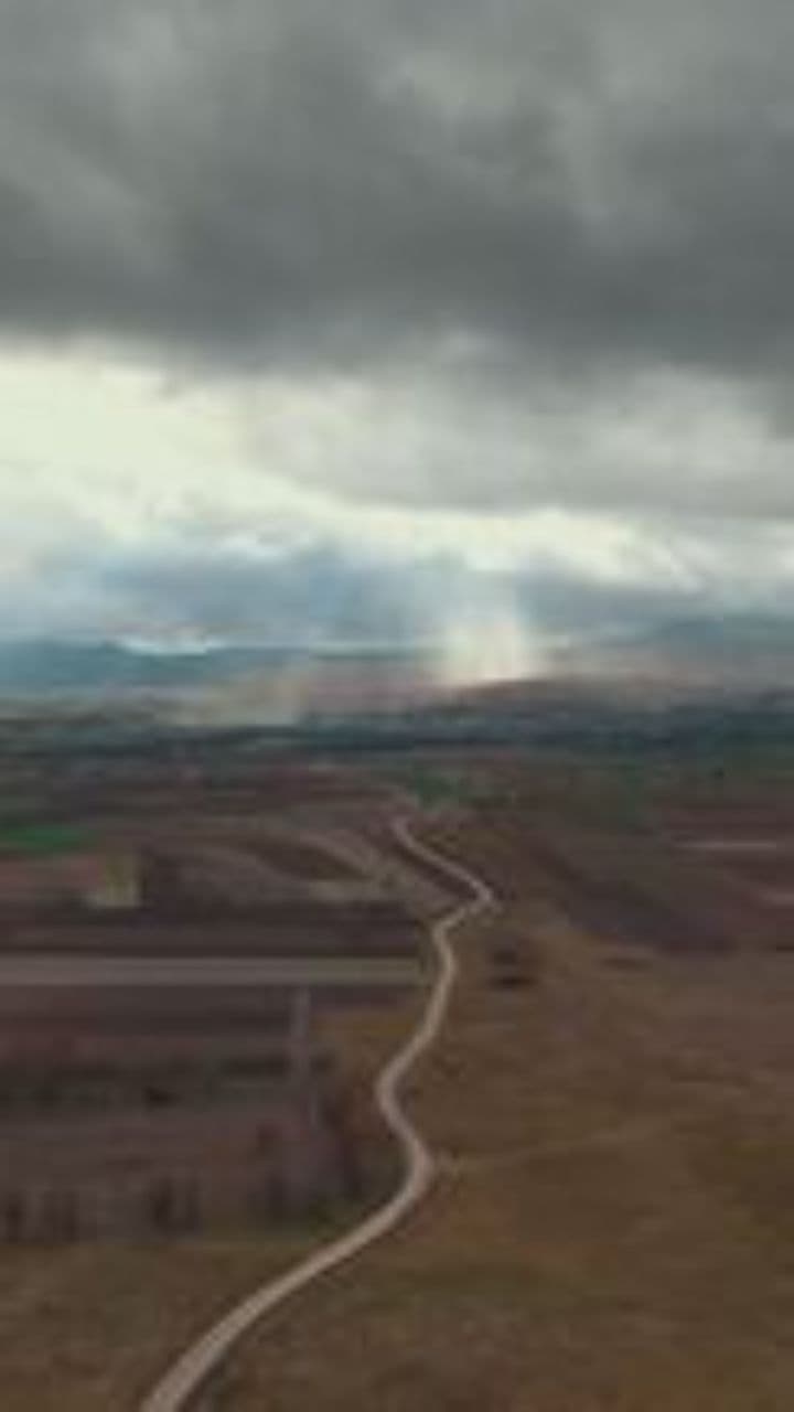 Крила журавлів