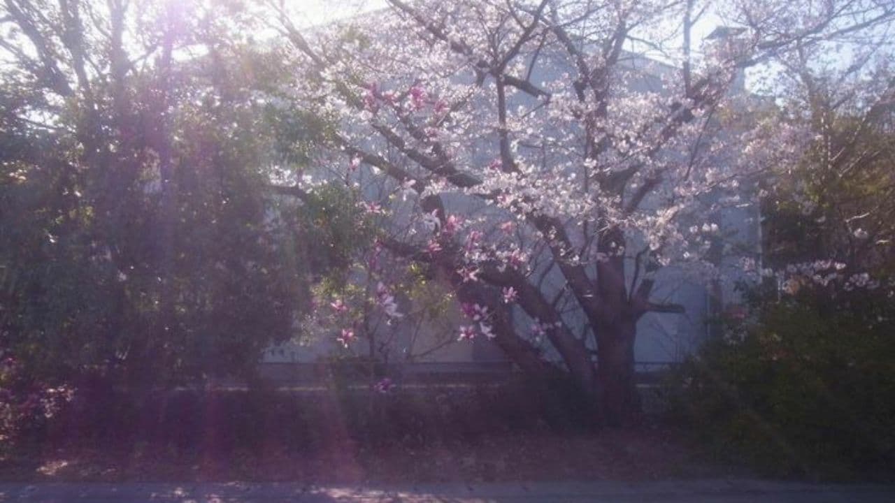 Студенческая жизнь: интервью с Эрикой Татаровой