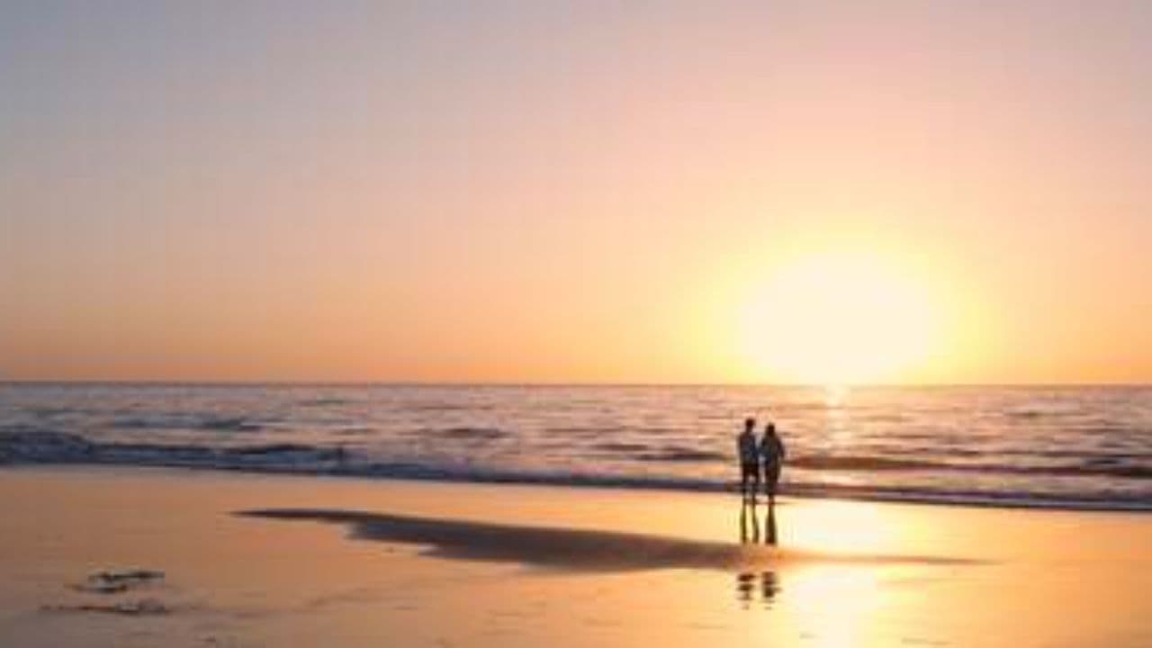 Wildest Dreams of Love