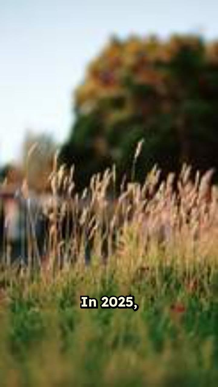 Revitalize Your Content with Iconic Clips