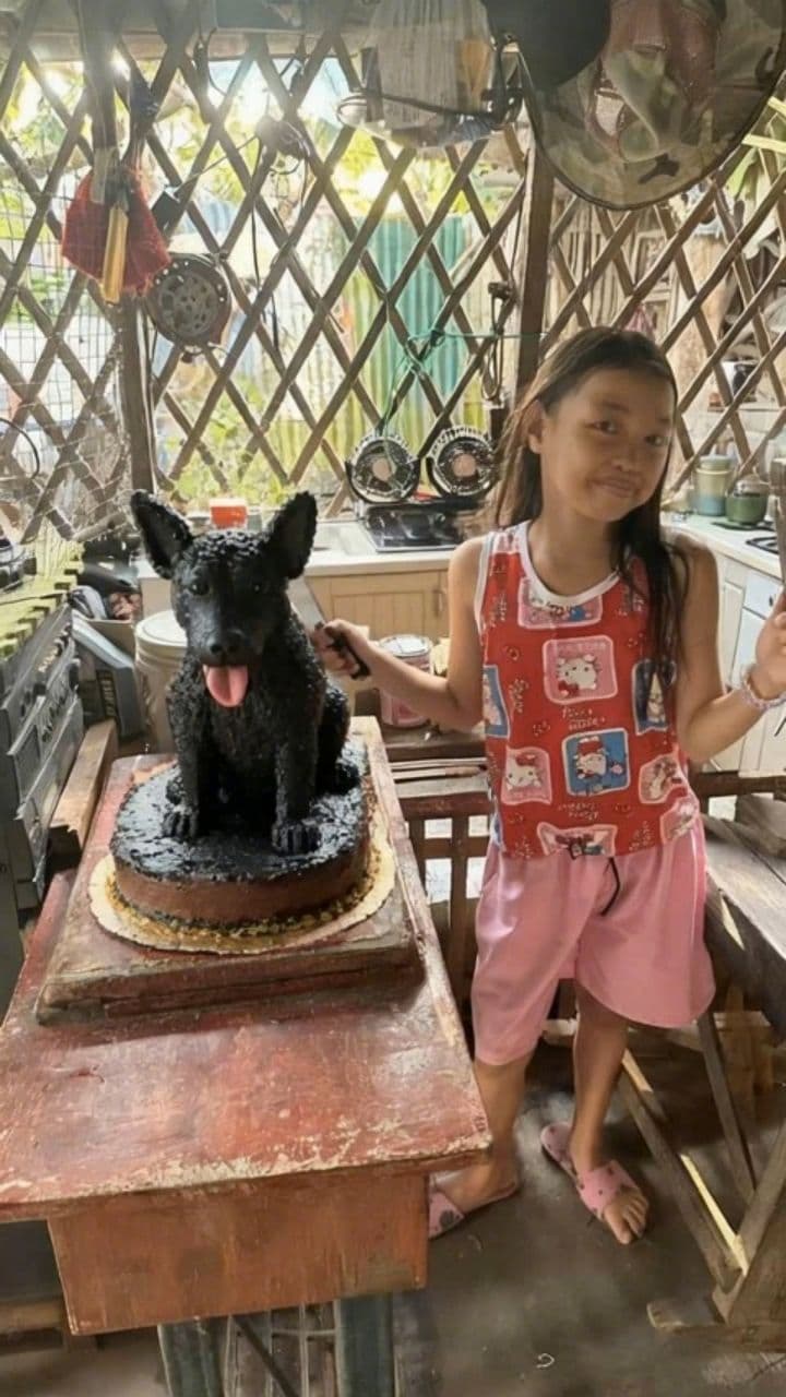 Image transform video