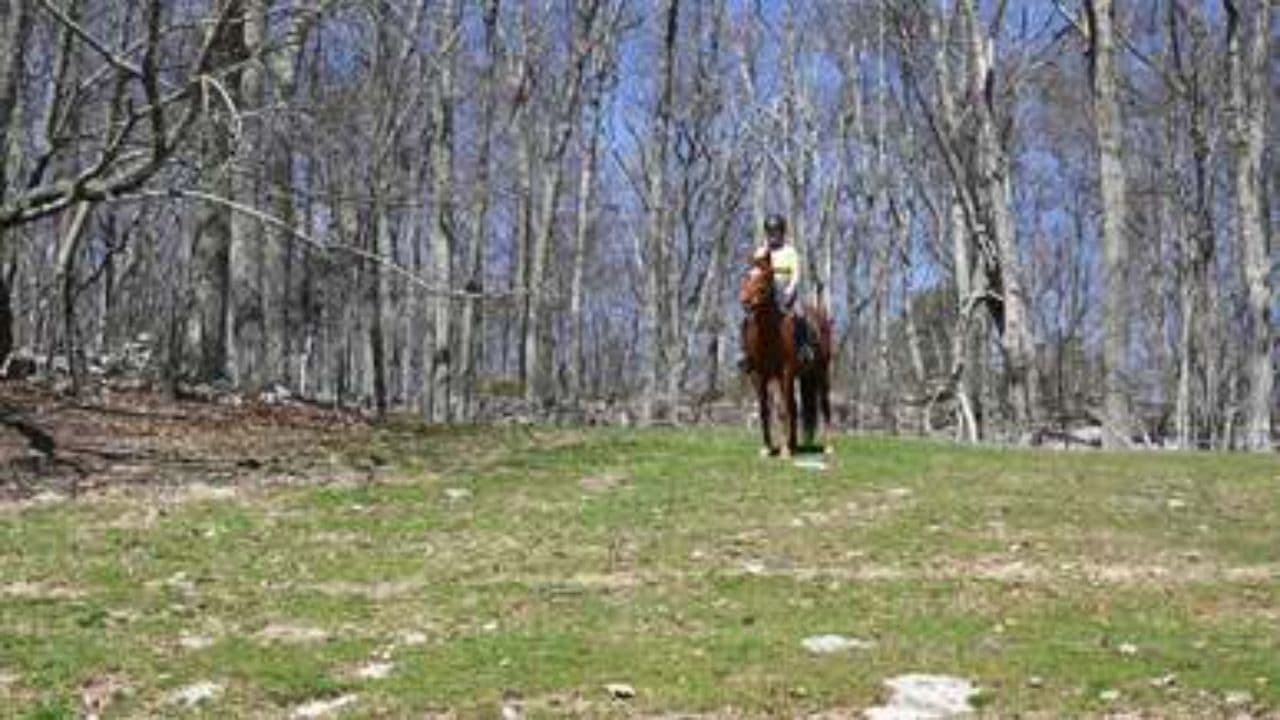 Синеглазая казачка