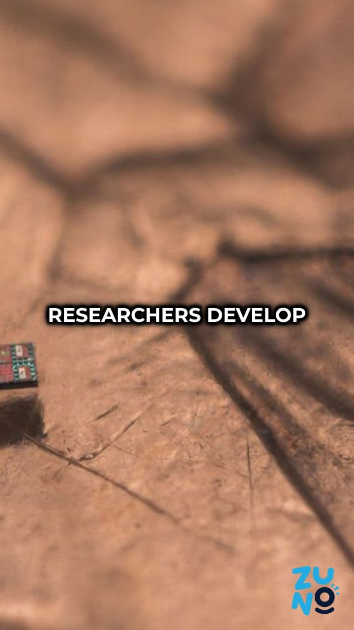 World's Smallest Programmable Autonomous Robots