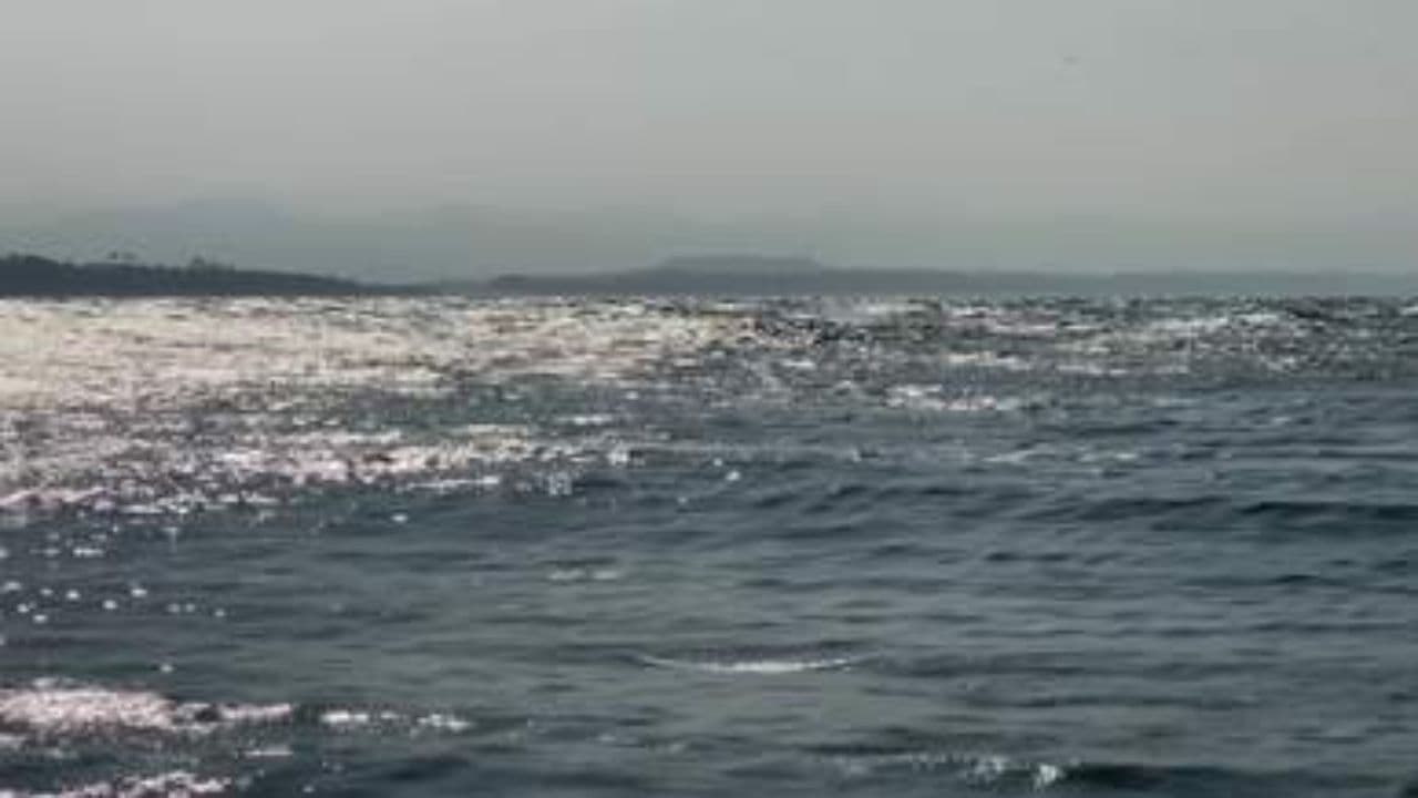 Aida, Journey on the Ocean