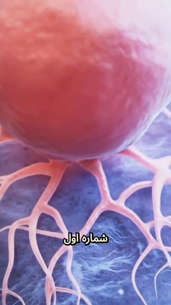 شگفتی میخک در بهبود اختلال نعوظ و سلامت باروری