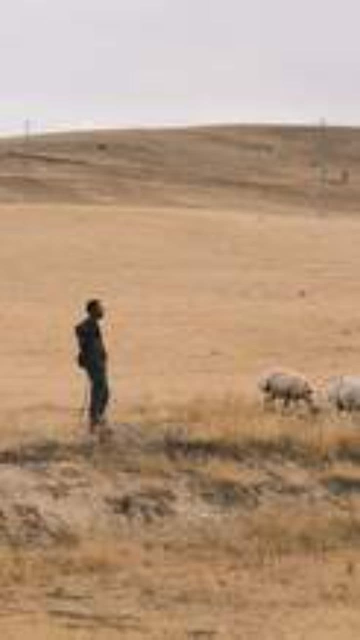 Kandy Agash, My Heart's Home