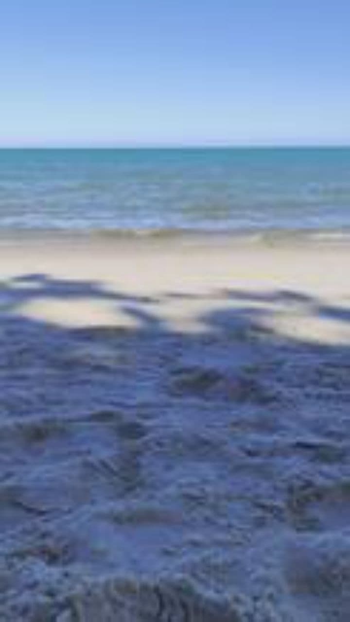 La luna ilumina nuestra playa