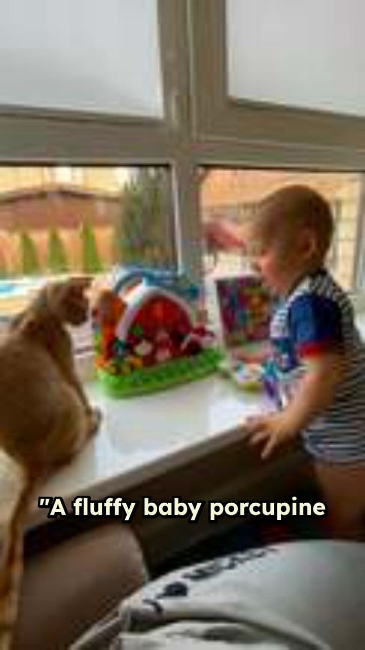 Popo’s Morning Stretch Routine