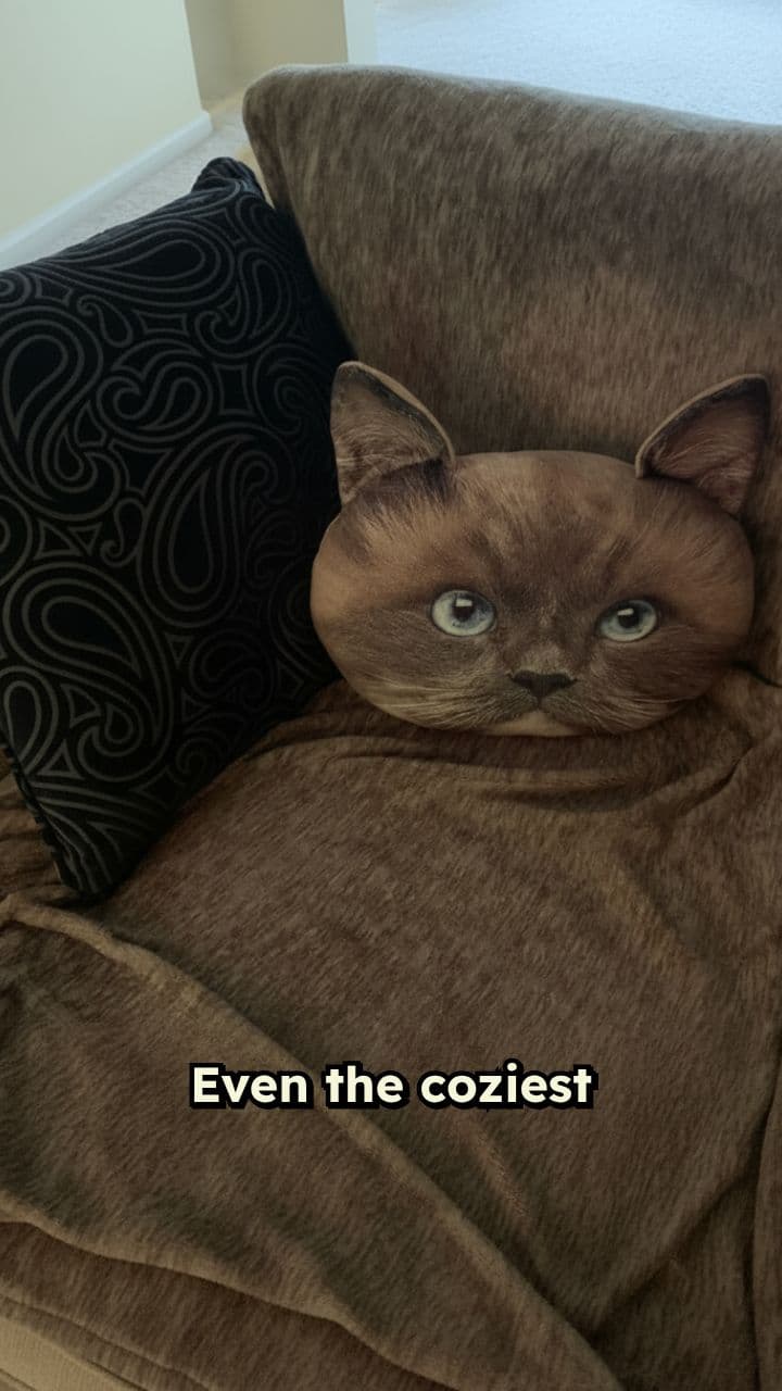 The Midnight Craving of a Pillow Cat