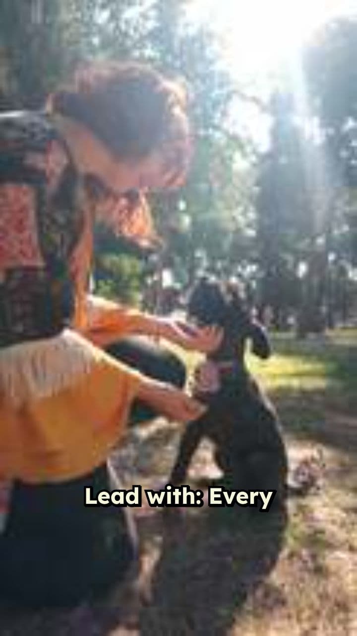 Peace of Mind for Pet Parents