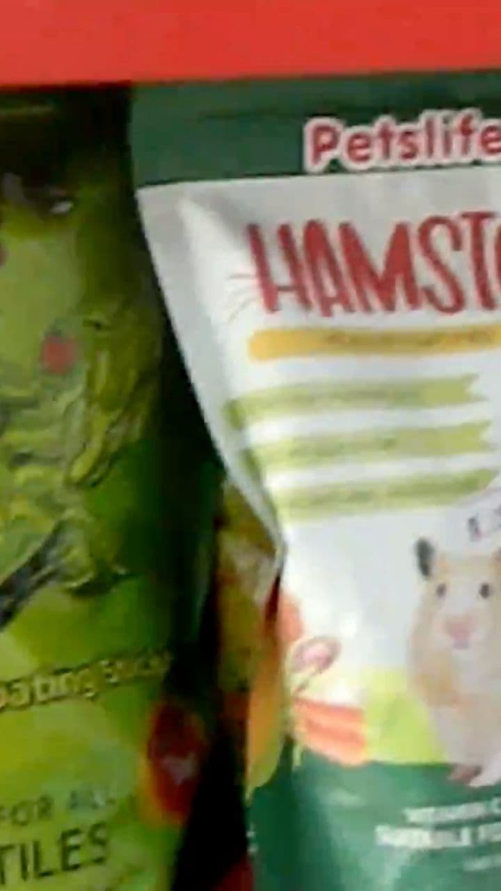 पेट पोर्च: आपके प्यारे साथी का घर