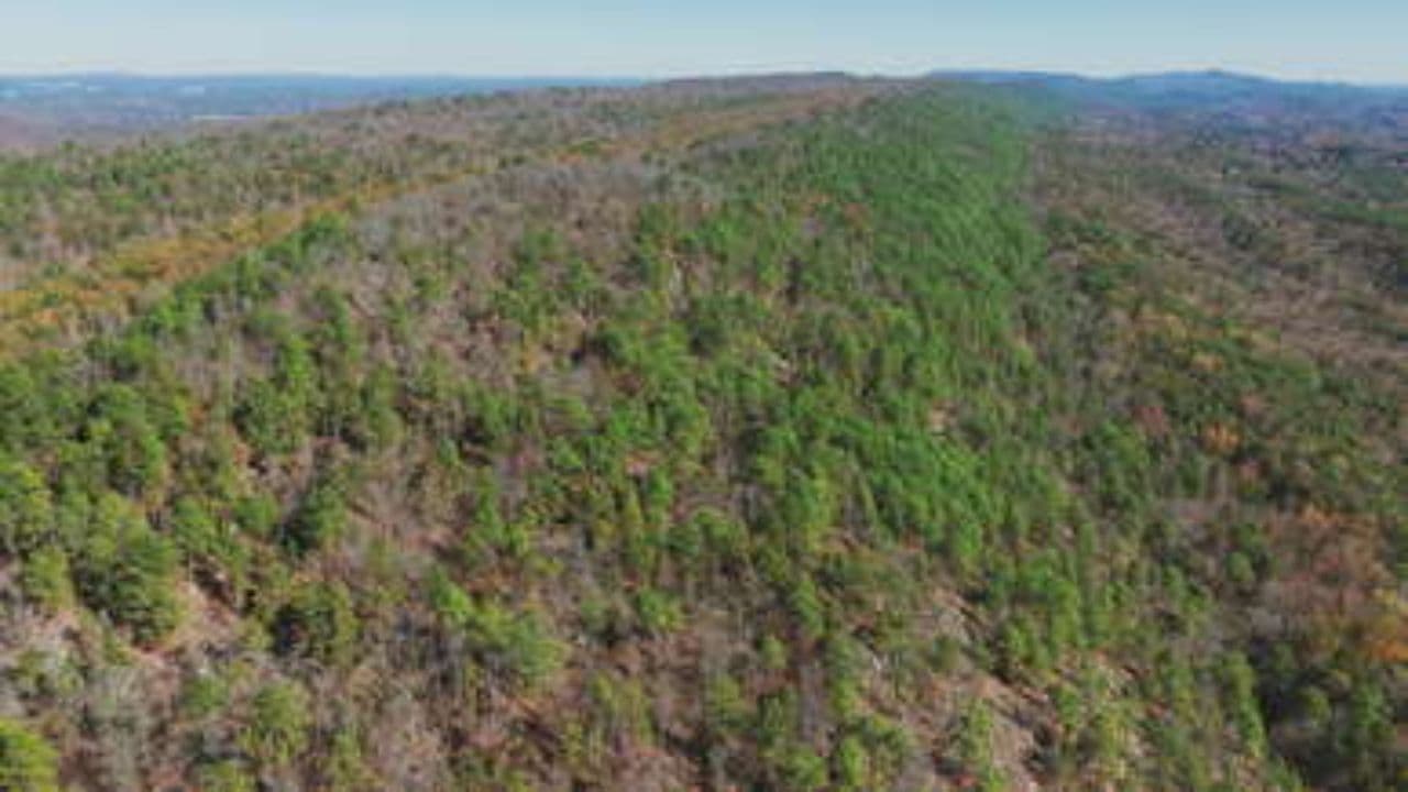 Insomnia Remedies: Natural vs. Artificial