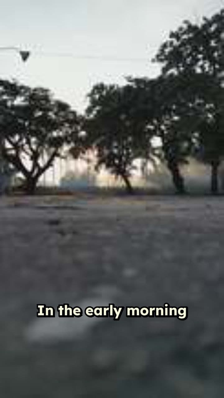 Pidgeot Saves Pidgey from Arbok