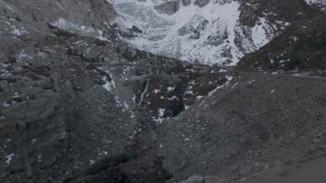 Merry Christmas to You