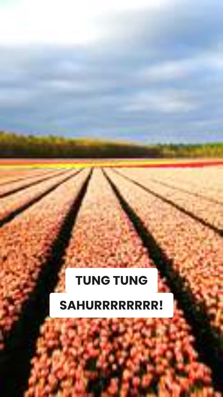 Tung Tung Sahur Brainrot