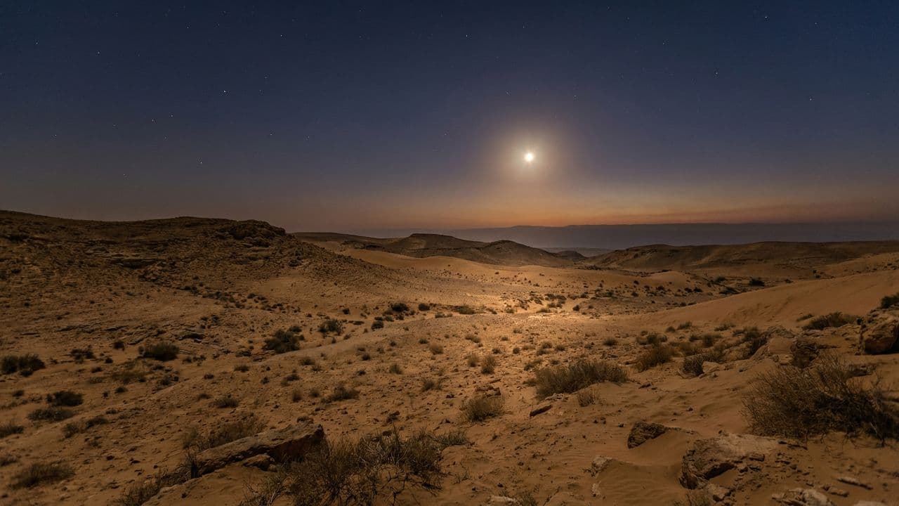 Canta la esperanza y la paz