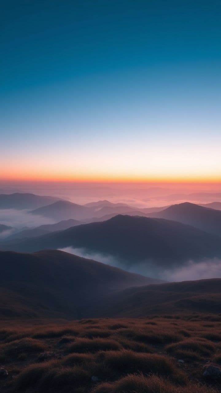 Vine and Branch: A Love Unfolds