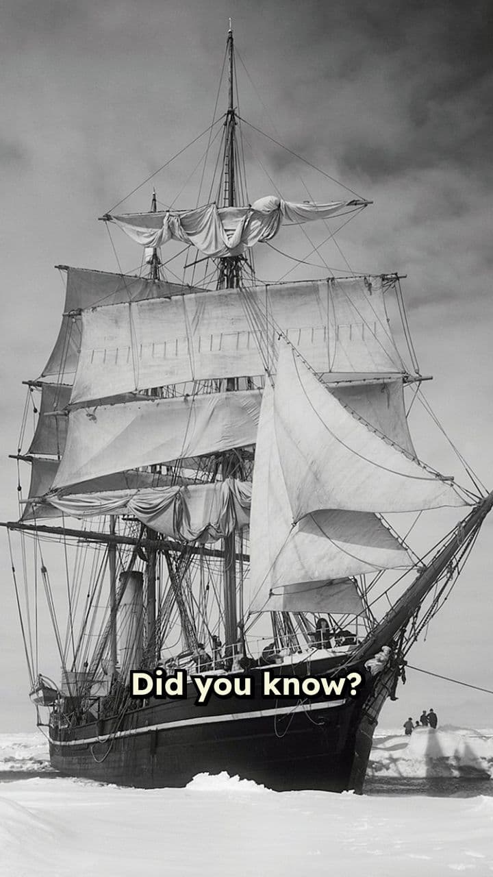 Loyalty in the Face of Death